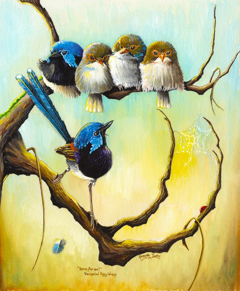 Four small fairy-wrens huddle side by side on a bare branch, one with a blue head and three brown, while a blue-headed male perches on a lower branch looking up at them, against a soft blue and gold wash.