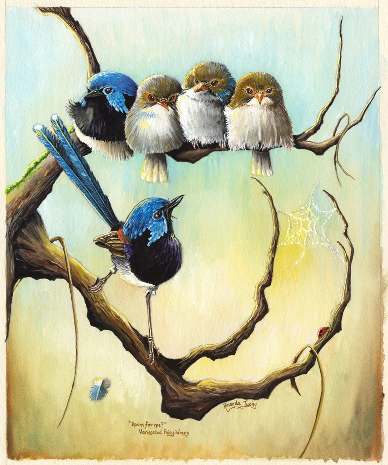Four small fairy-wrens huddle side by side on a bare branch, one with a blue head and three brown, while a blue-headed male perches on a lower branch looking up at them, against a soft blue and gold wash.