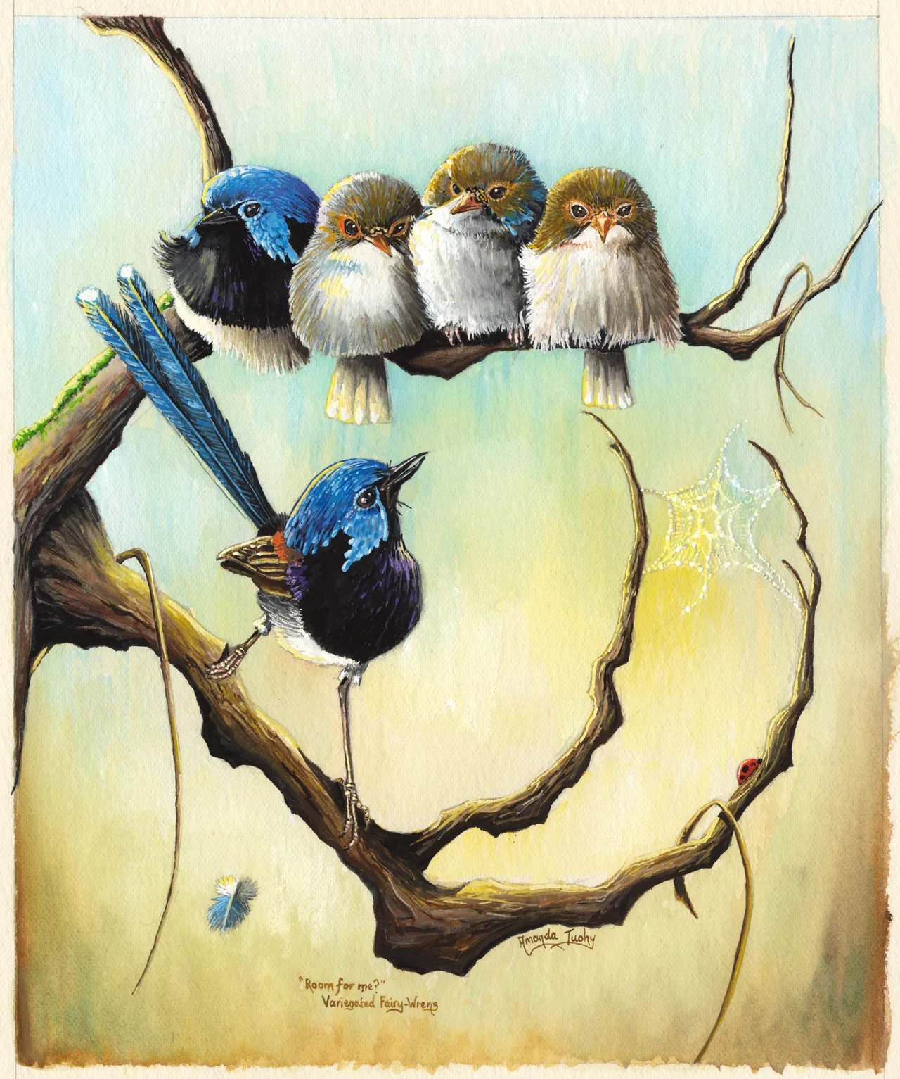 Four small fairy-wrens huddle side by side on a bare branch, one with a blue head and three brown, while a blue-headed male perches on a lower branch looking up at them, against a soft blue and gold wash.
