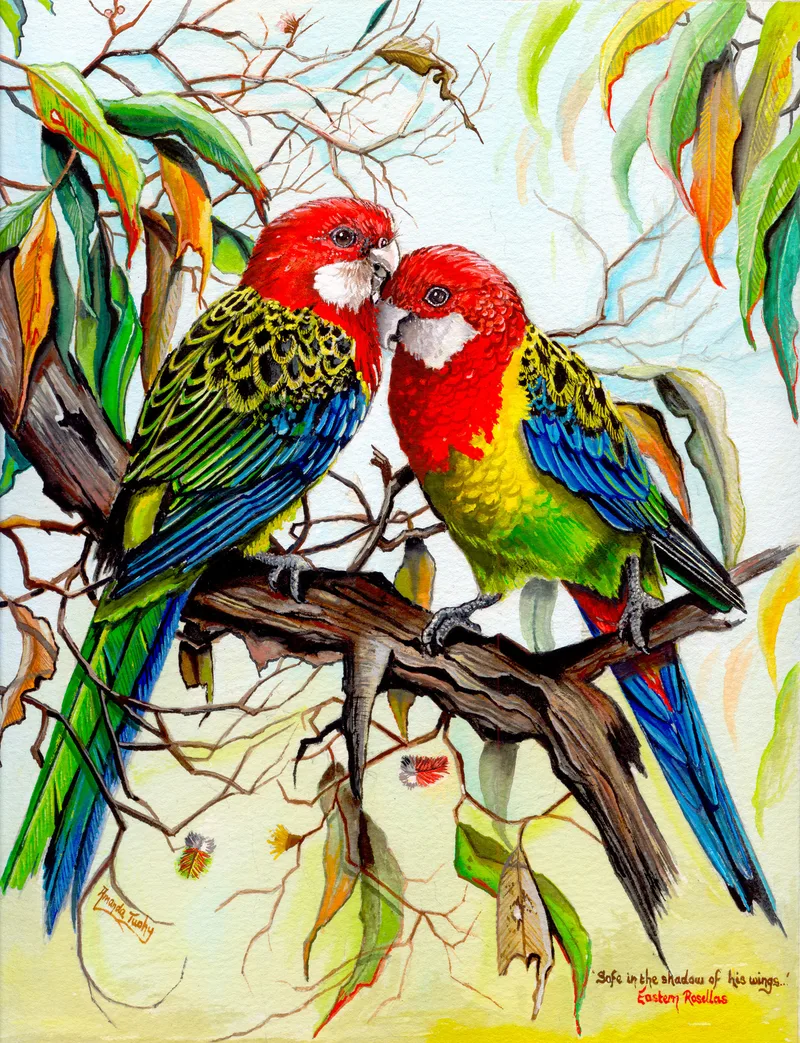 Two eastern rosellas, red-headed with green, yellow and blue plumage, rest head to head on a branch among gum leaves.