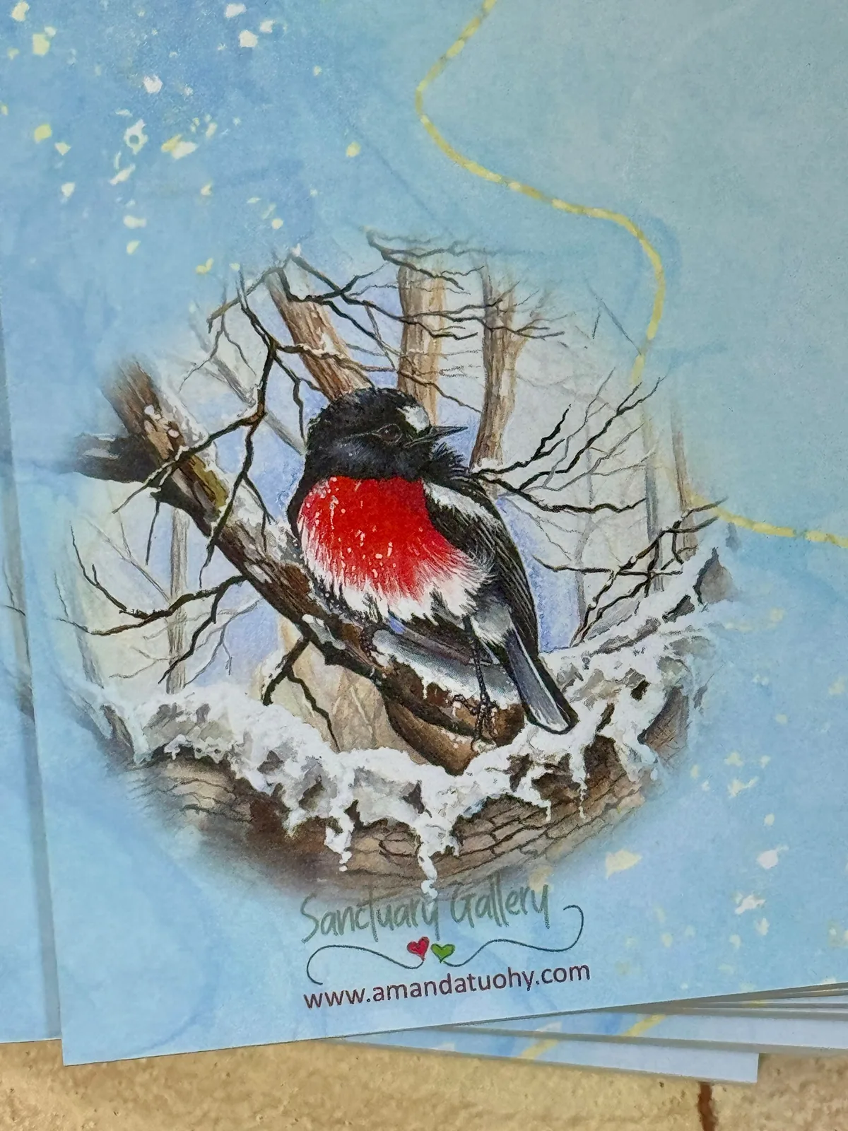 A pad of pale blue notepaper printed with a scarlet robin with a red chest and black and white wings, perched on a bare, snow-dusted branch, with the Sanctuary Gallery name and web address beneath.