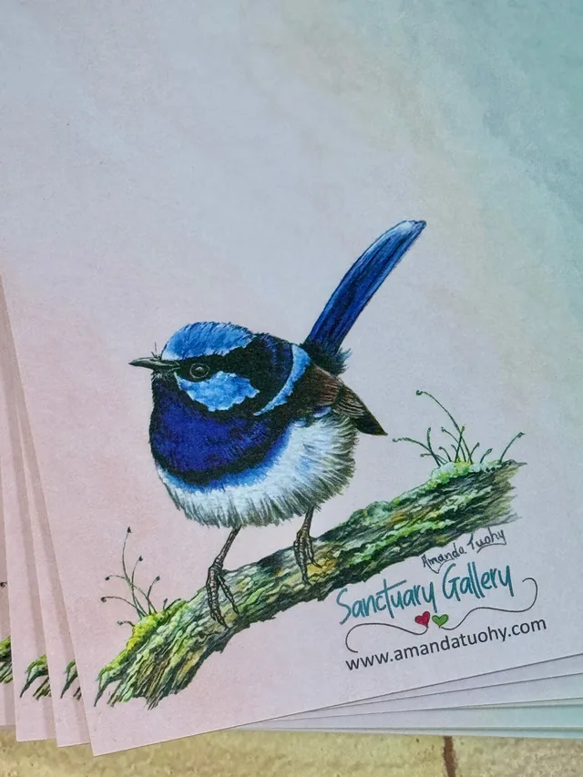 A pad of notepaper with a soft pink and aqua wash, printed with a wren in bright blue and black plumage, its tail upright, on a mossy branch, with the Sanctuary Gallery name and web address beneath.
