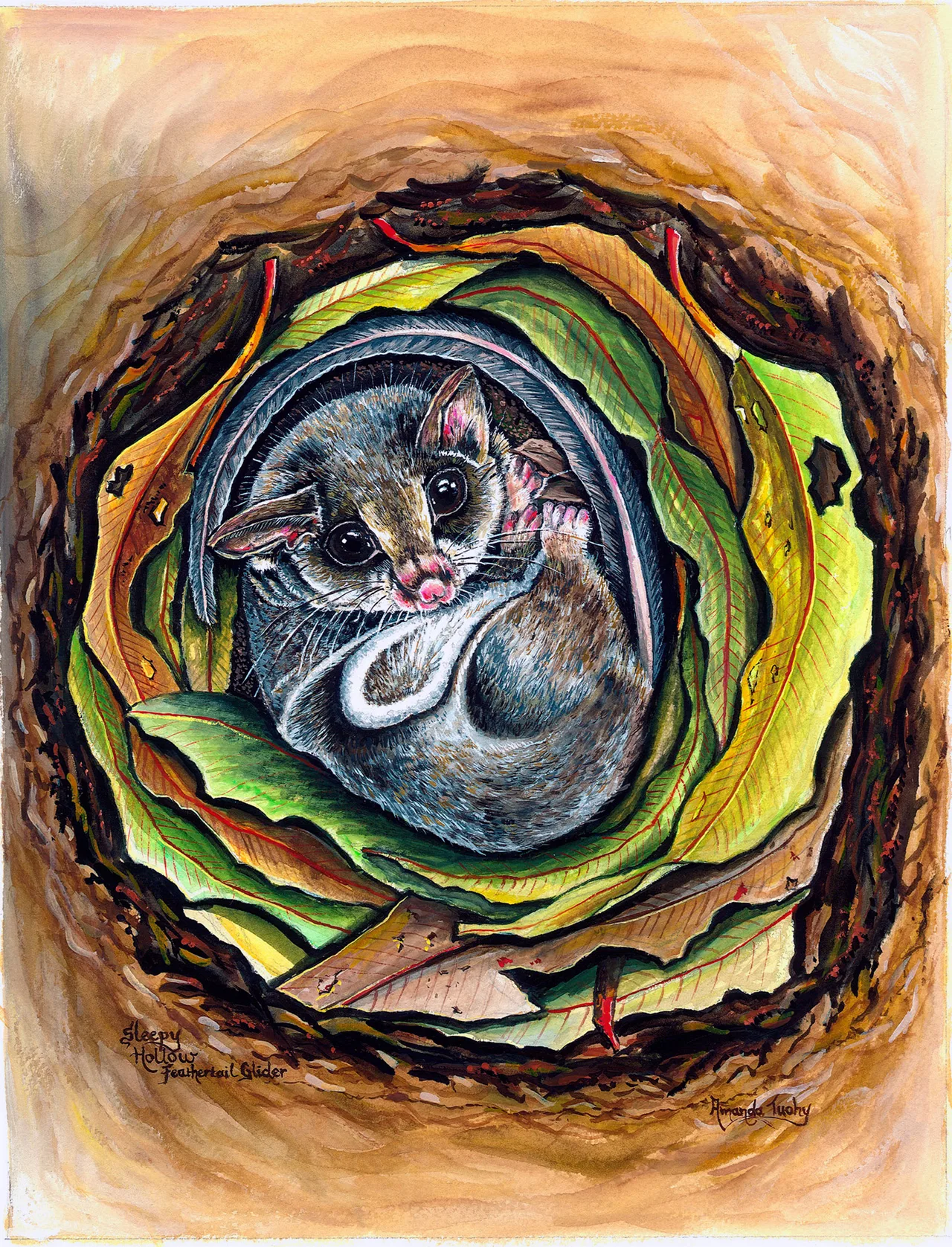 A feathertail glider with large dark eyes curls inside a tree hollow lined with spiralling gum leaves, in warm golds, greens and browns.