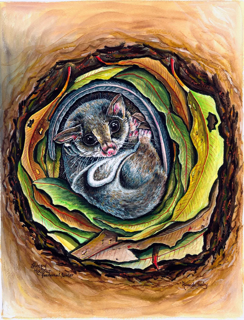A feathertail glider with large dark eyes curls inside a tree hollow lined with spiralling gum leaves, in warm golds, greens and browns.