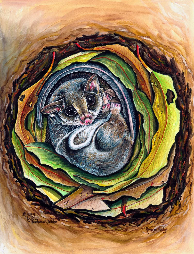 A feathertail glider with large dark eyes curls inside a tree hollow lined with spiralling gum leaves, in warm golds, greens and browns.