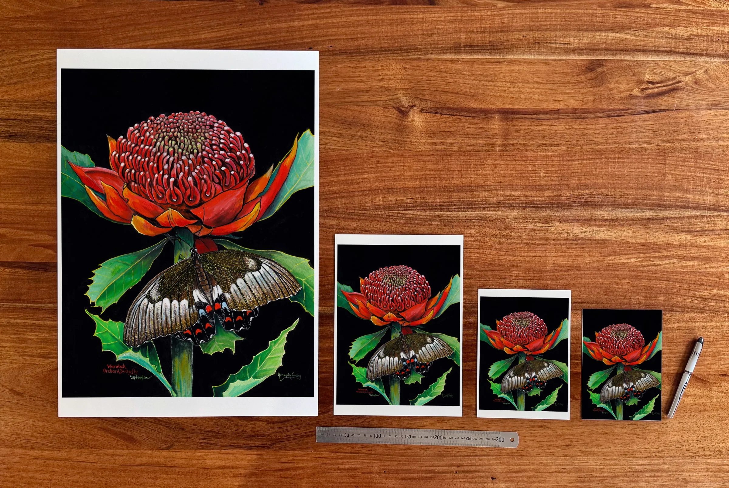 Splendour at each available size: A2 (420 × 594 mm), A4, A5 and 5 × 7 in (127 × 178 mm), beside a 30 cm ruler.