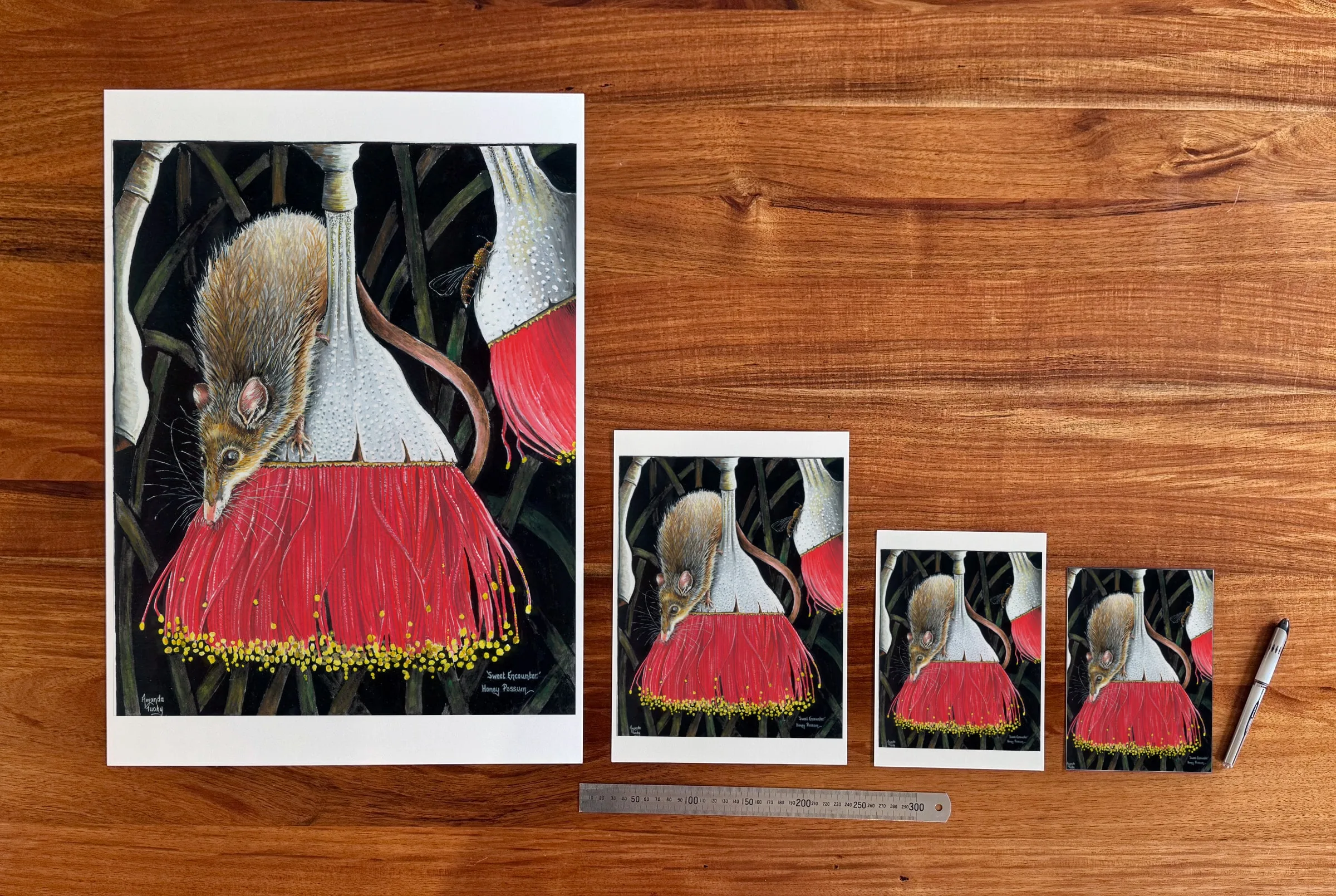 Sweet Encounter at each available size: A2 (420 × 594 mm), A4, A5 and 5 × 7 in (127 × 178 mm), beside a 30 cm ruler.