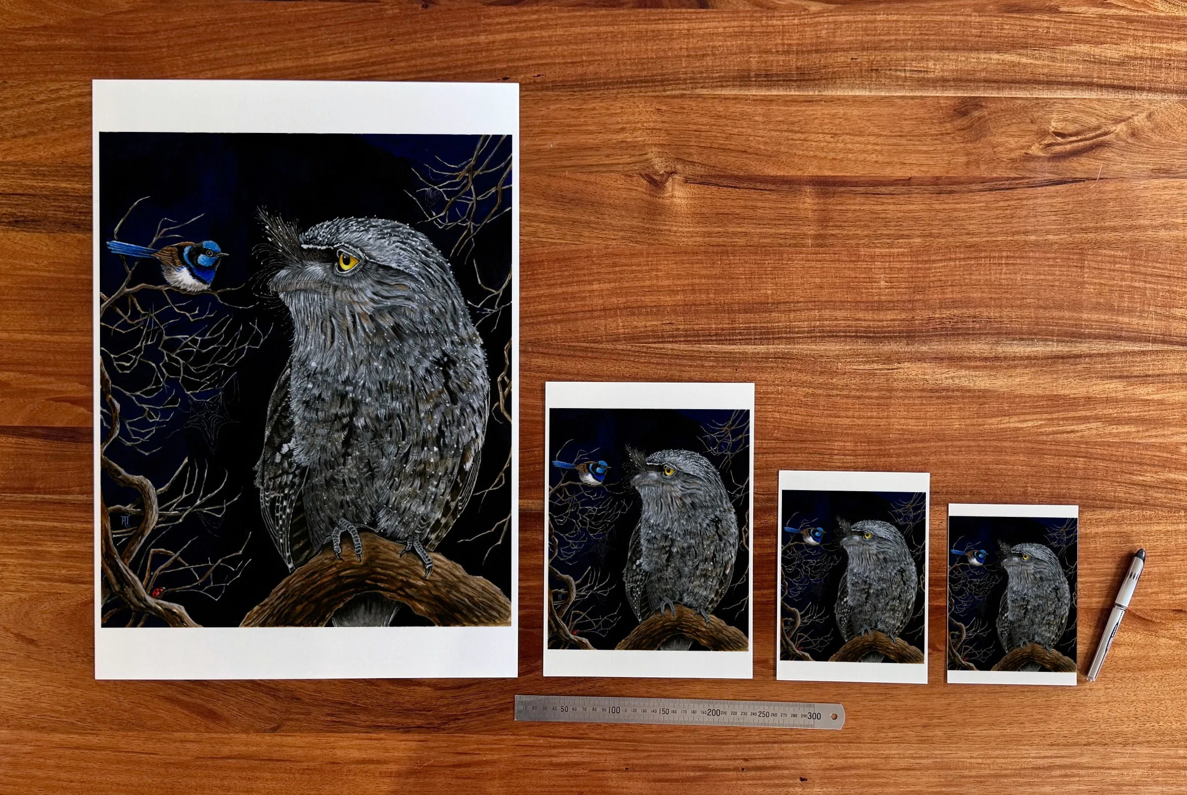 Tawny Frogmouth and Wren 1 at each available size: A2 (420 × 594 mm), A4, A5 and 5 × 7 in (127 × 178 mm), beside a 30 cm ruler. The 5 × 7 in print shows the whole painting, with white strips of about 12 mm top and bottom.