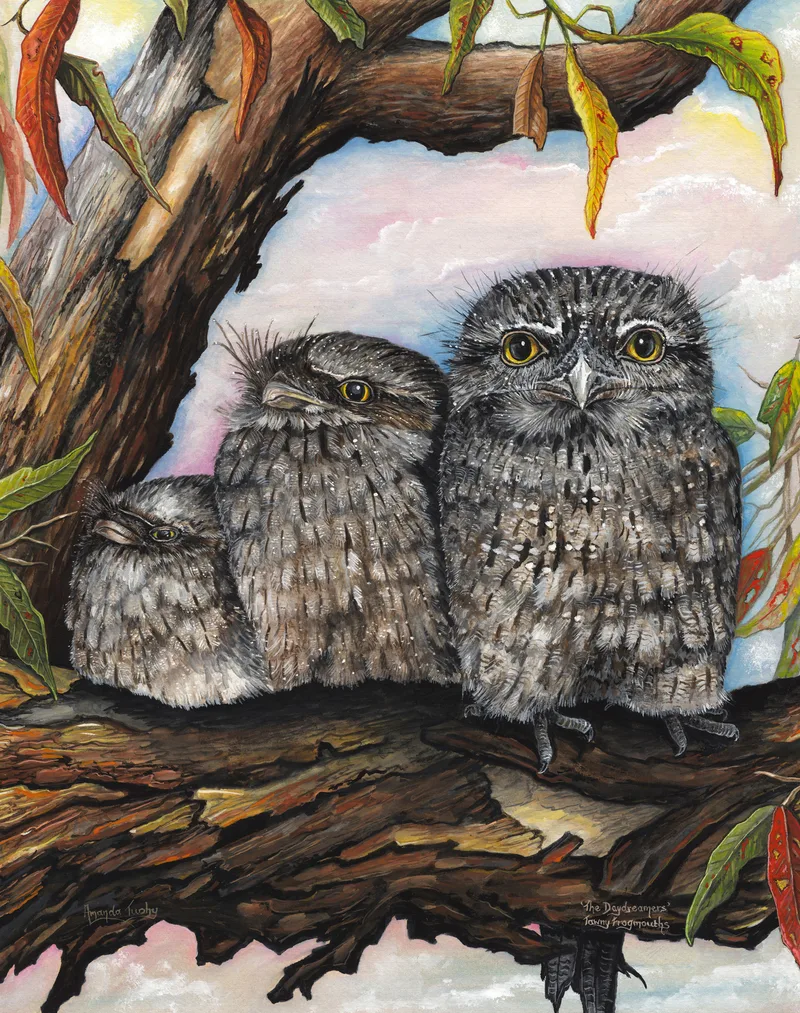 Three grey-brown tawny frogmouths sit close together on a thick, gnarled branch among gum leaves, the largest with wide yellow eyes and the two smaller ones with eyes nearly closed.
