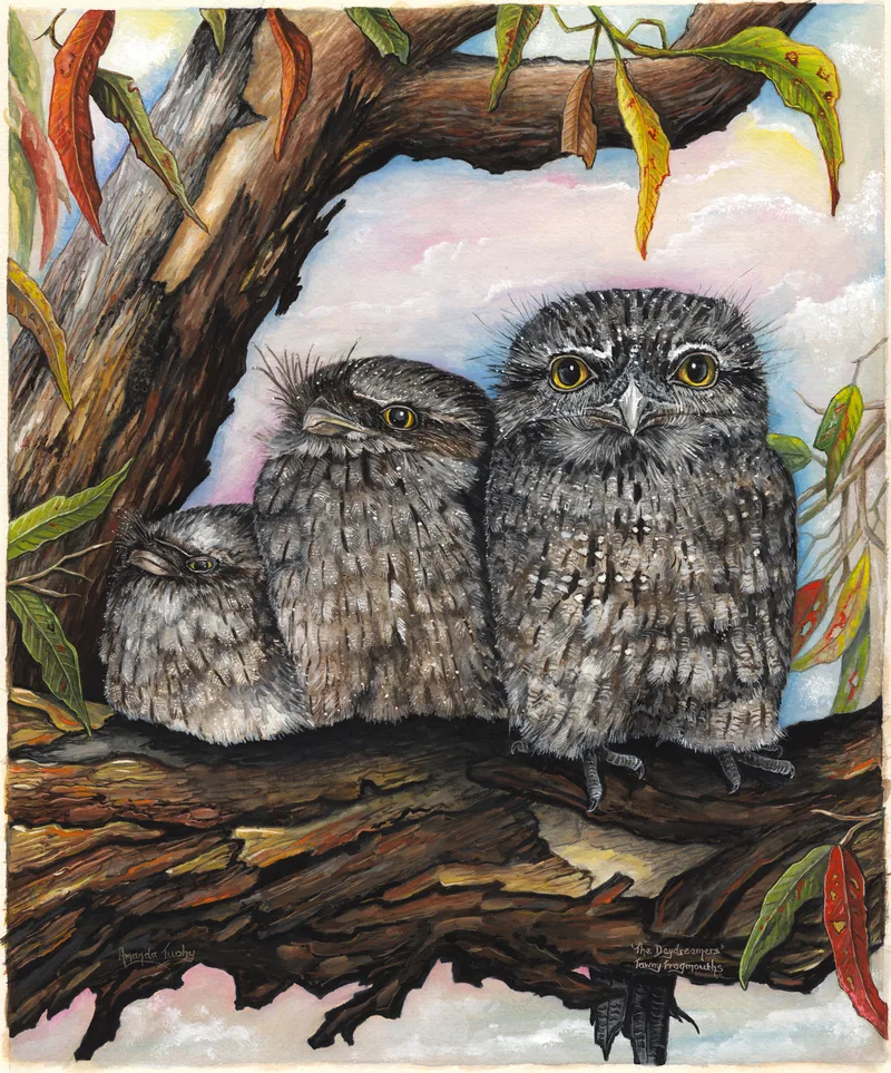Three grey-brown tawny frogmouths sit close together on a thick, gnarled branch among gum leaves, the largest with wide yellow eyes and the two smaller ones with eyes nearly closed.