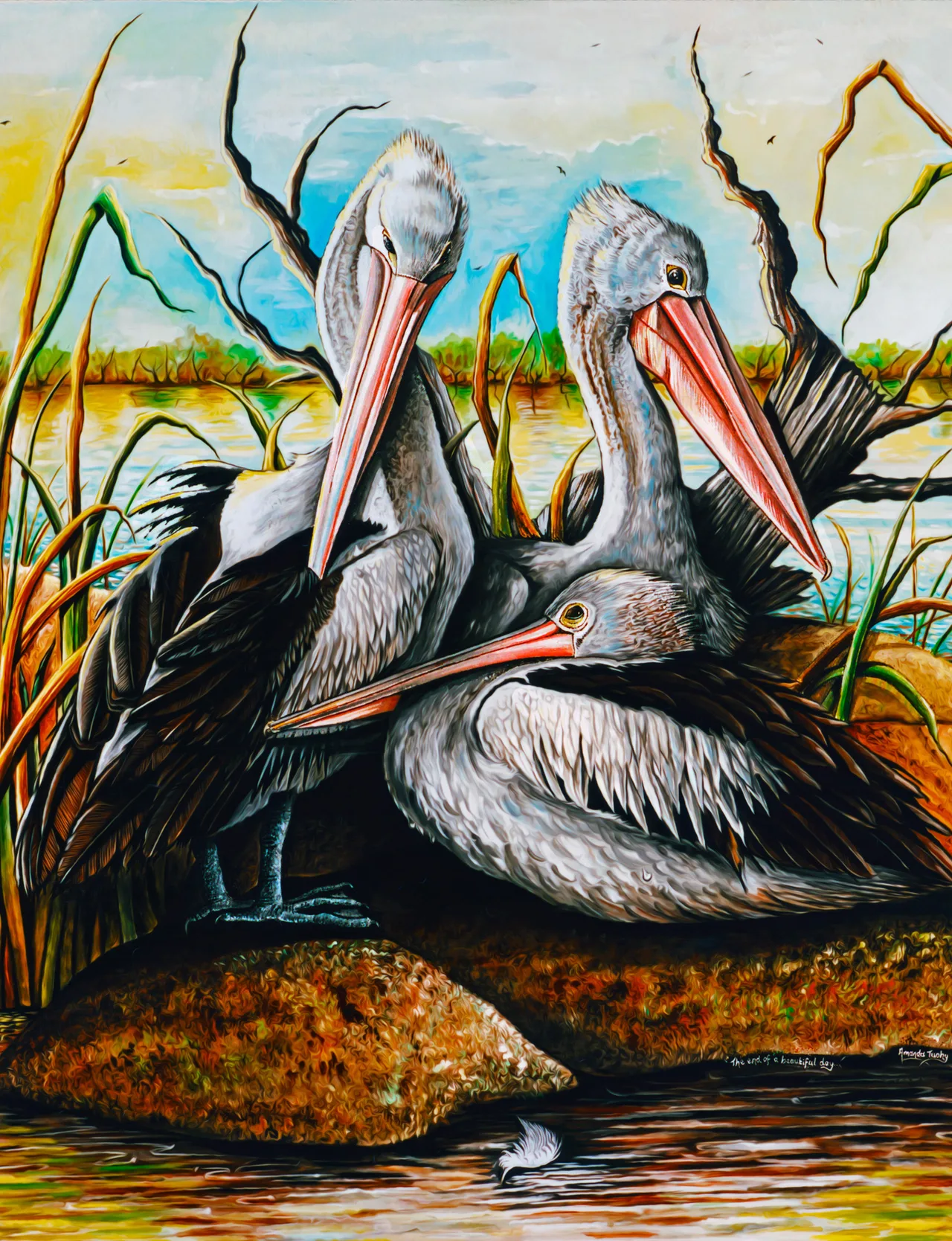 Three pelicans with long pink bills rest on rocks at the edge of a lake in warm evening light, with reeds and dead branches around them and a white feather floating on the water.
