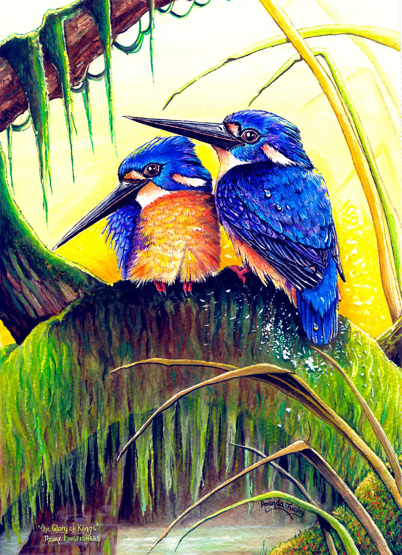 Two azure kingfishers with deep blue backs and orange chests perch side by side on a moss-draped branch above water, among long curving grasses, against a bright yellow sky.