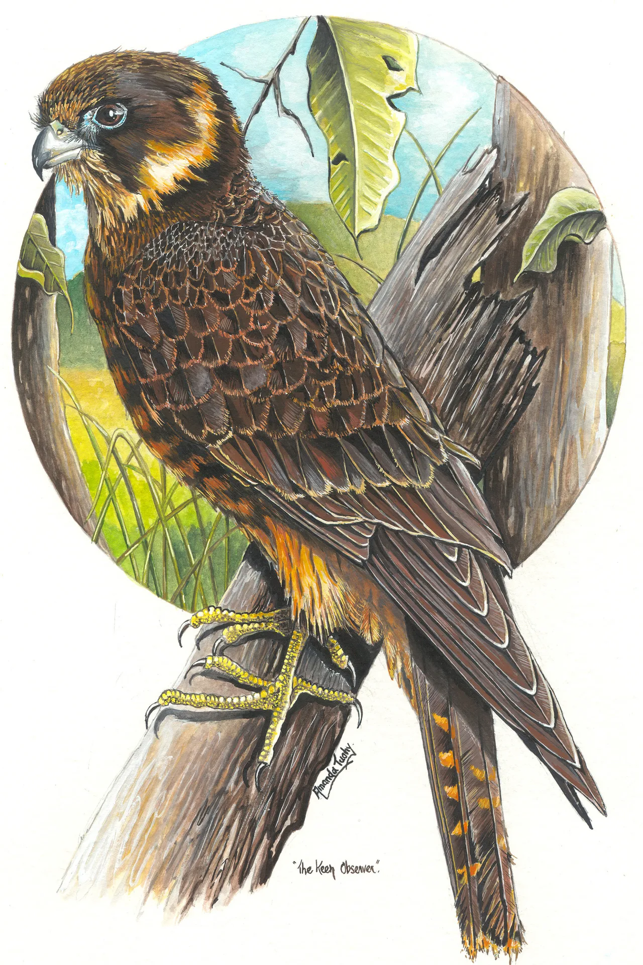 A brown falcon with a pale cheek patch and scalloped wing feathers perches on a weathered stump, framed by a circle of green grassland, blue sky and leaves.