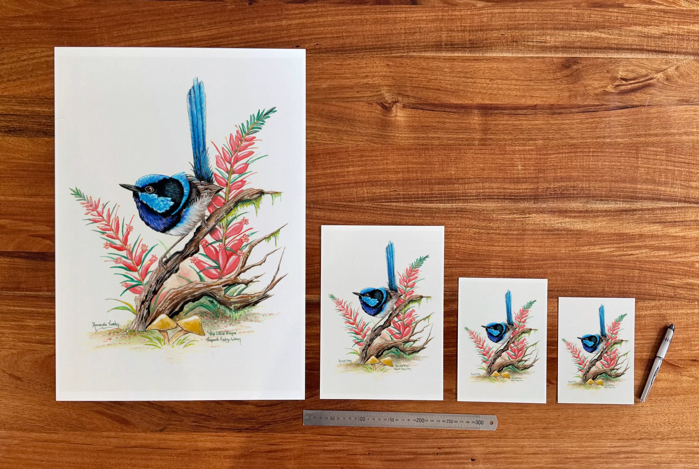 The Little Prince at each available size: A2 (420 × 594 mm), A4, A5 and 5 × 7 in (127 × 178 mm), beside a 30 cm ruler.