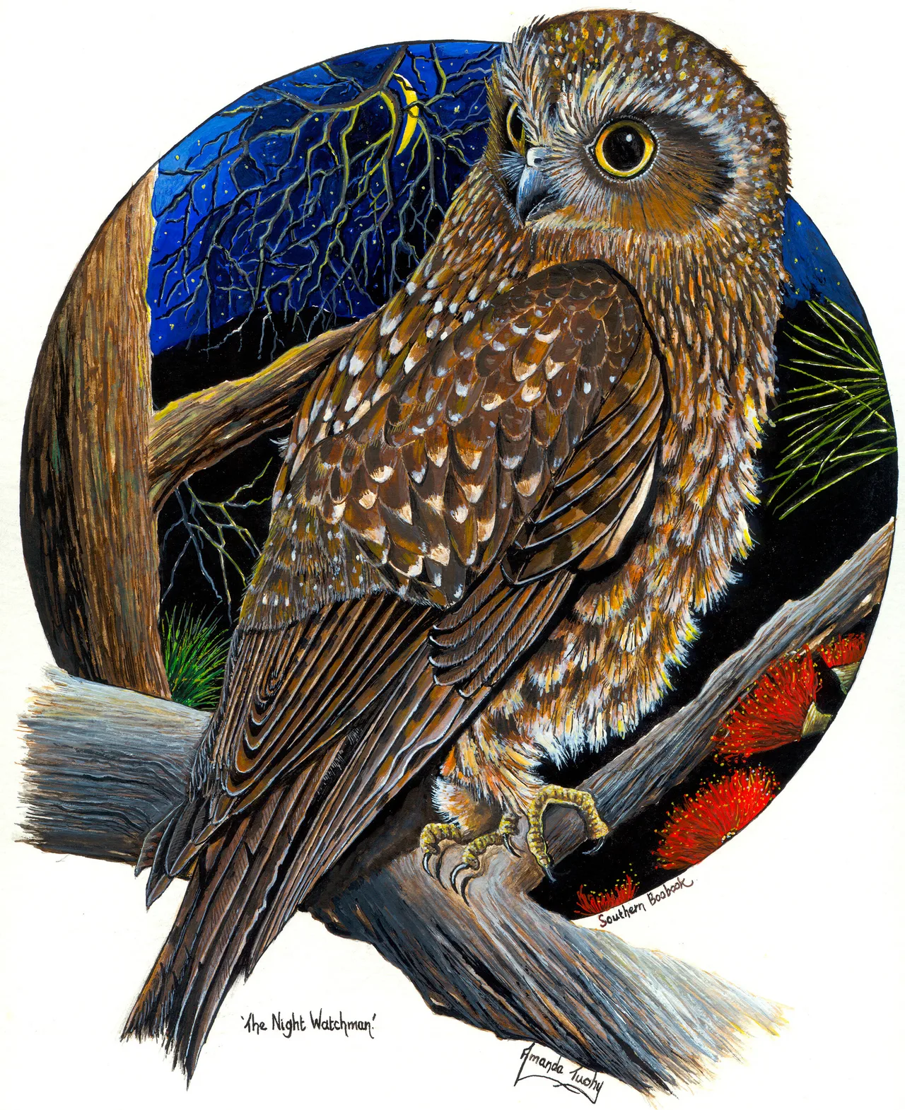 A southern boobook owl with large yellow eyes and spotted brown feathers perches on a branch looking over its shoulder, framed by a circle of night sky with a tree trunk and red blossom.