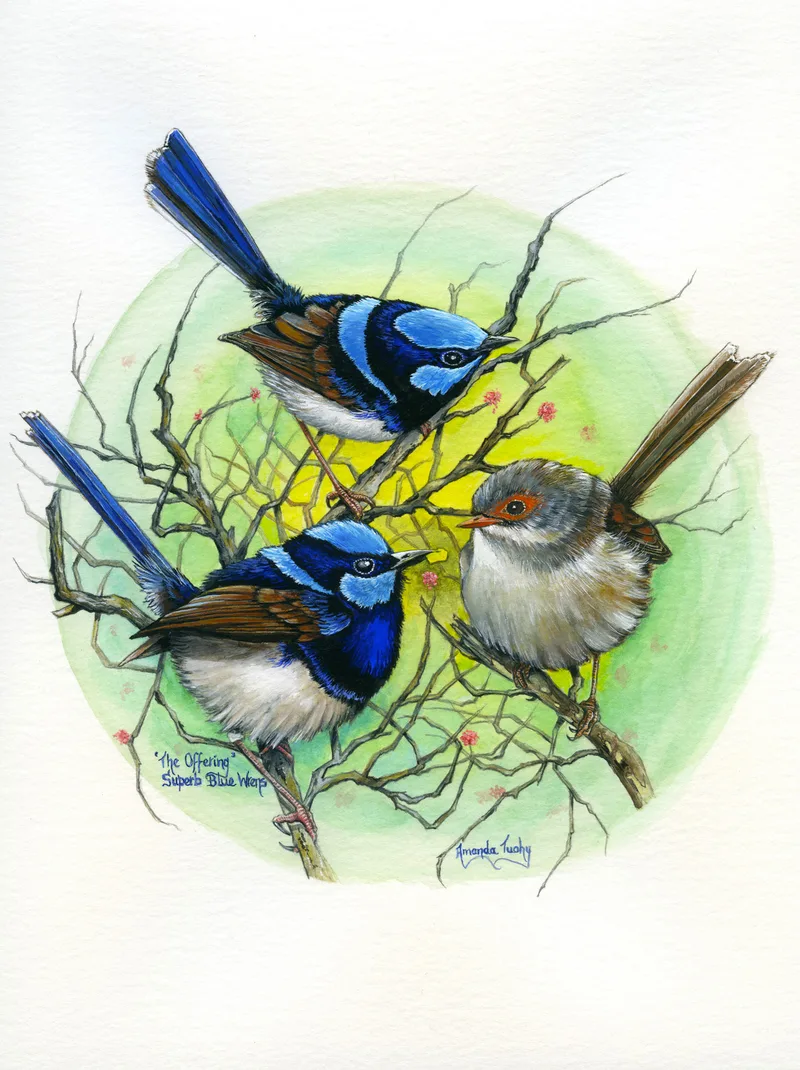 Three wrens perch among bare twigs in a pale green and yellow circle: two blue and black males with long tails and a brown female with an orange-red face, on white paper.