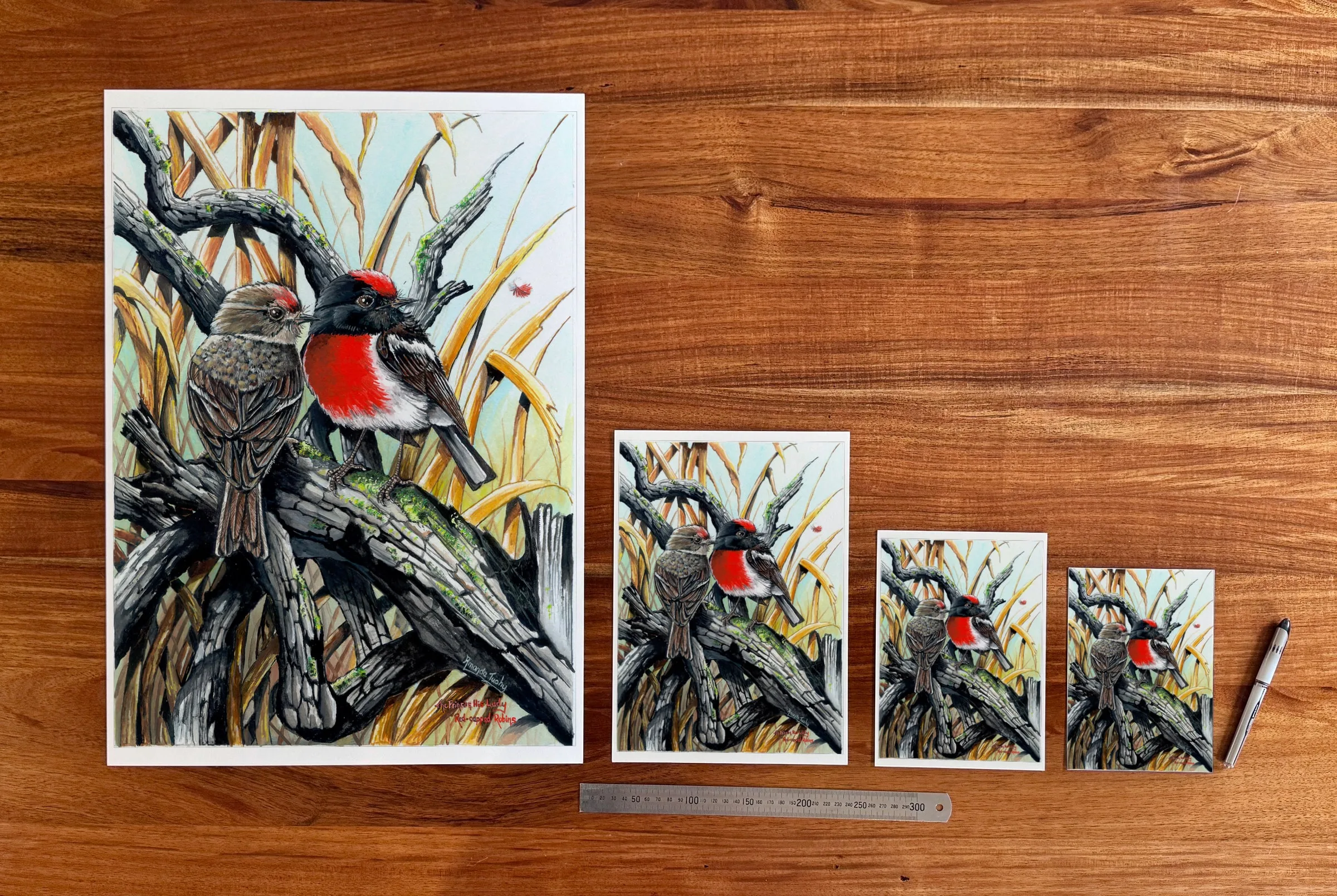 The Prince and His Lady at each available size: A2 (420 × 594 mm), A4, A5 and 5 × 7 in (127 × 178 mm), beside a 30 cm ruler.