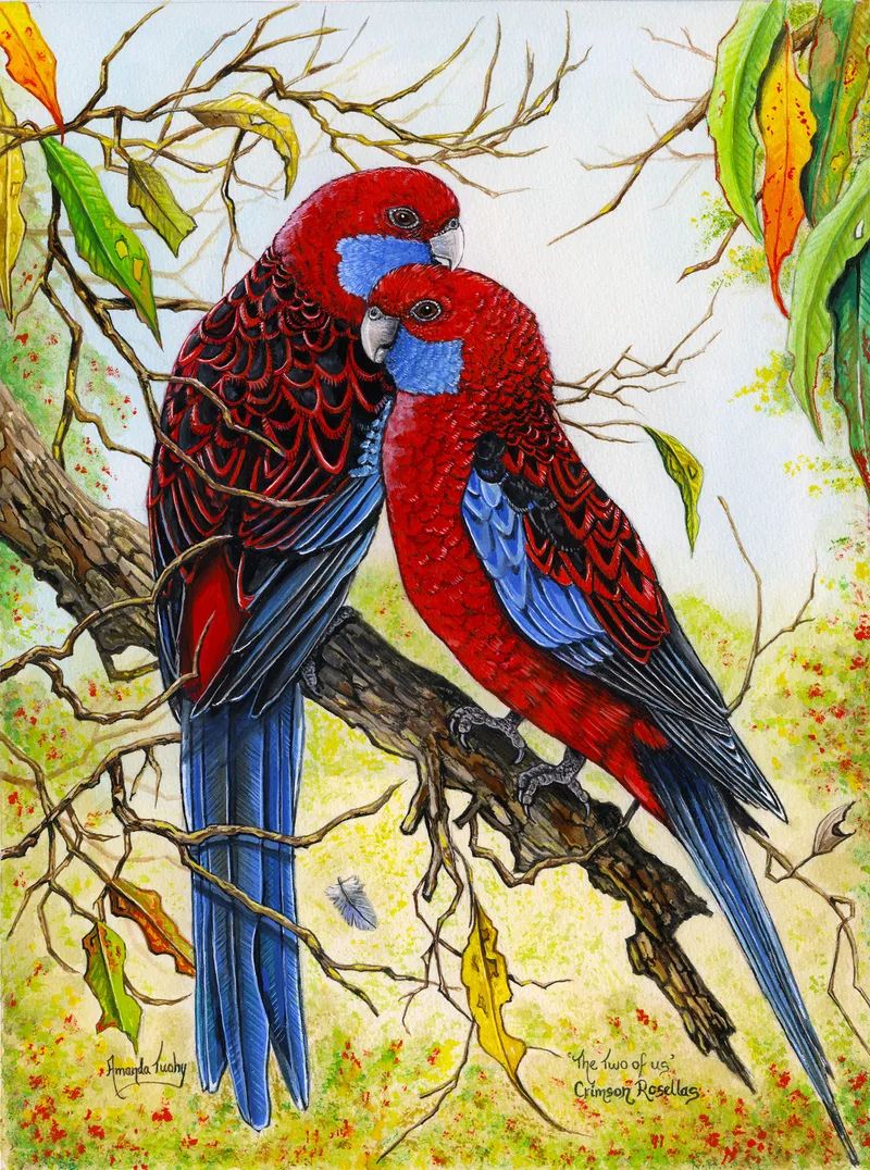 Two crimson rosellas, deep red with blue cheeks, wings and long tails, sit pressed together on a gum branch among bare twigs and autumn leaves, against a soft green and gold background.