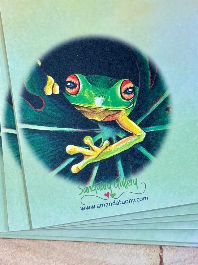 A pad of pale green notepaper printed, inside a dark circle, with a red-eyed tree frog with green skin and yellow-green limbs clinging to a leaf, with the Sanctuary Gallery name and web address beneath.