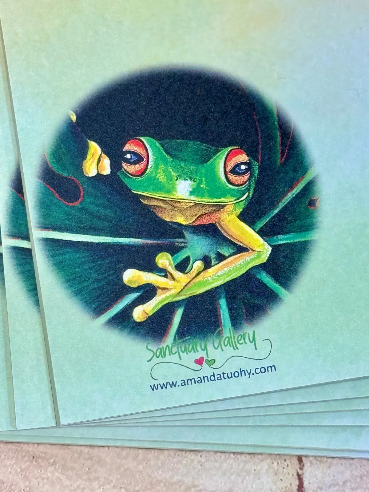 A pad of pale green notepaper printed, inside a dark circle, with a red-eyed tree frog with green skin and yellow-green limbs clinging to a leaf, with the Sanctuary Gallery name and web address beneath.