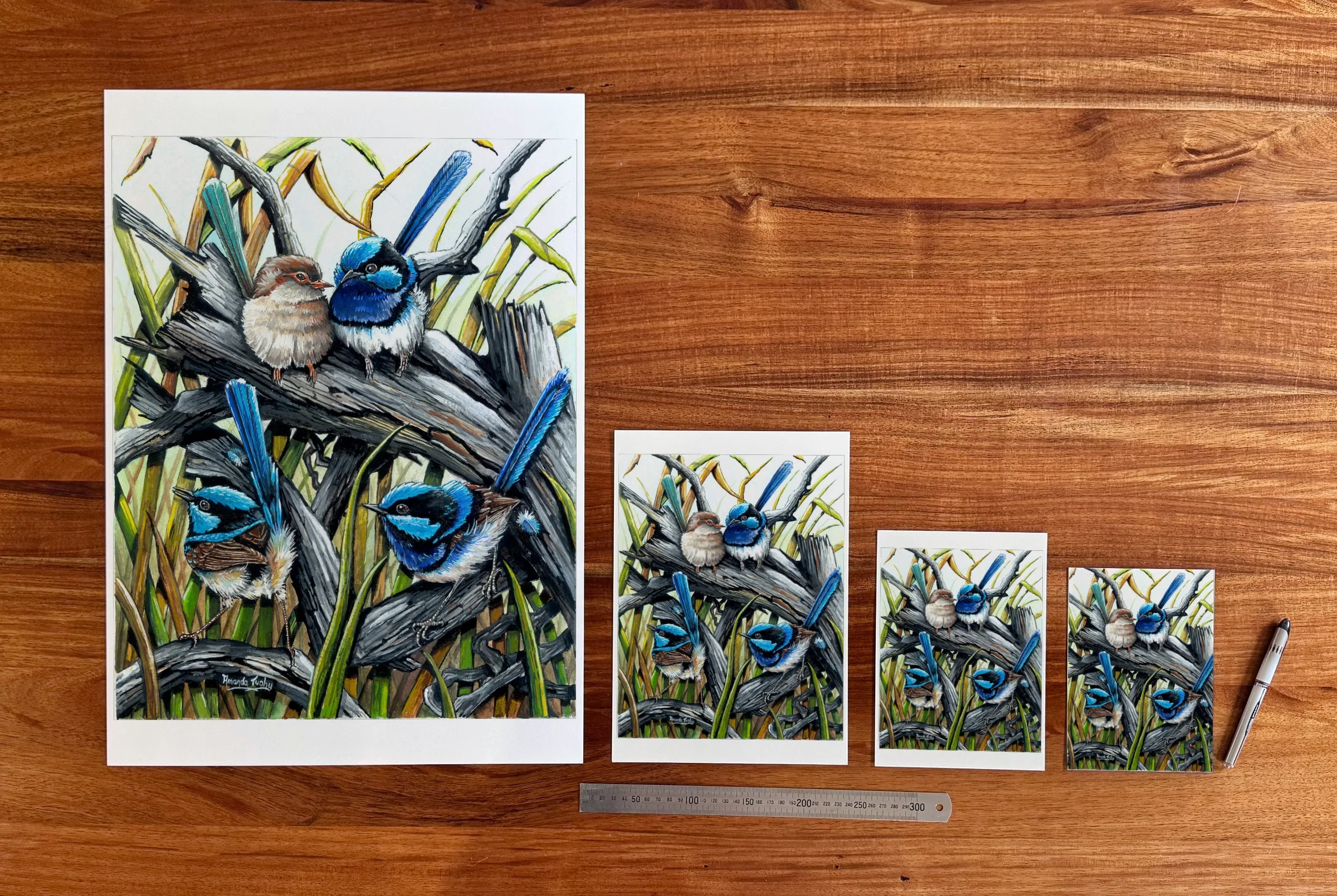 True Blues at each available size: A2 (420 × 594 mm), A4, A5 and 5 × 7 in (127 × 178 mm), beside a 30 cm ruler.
