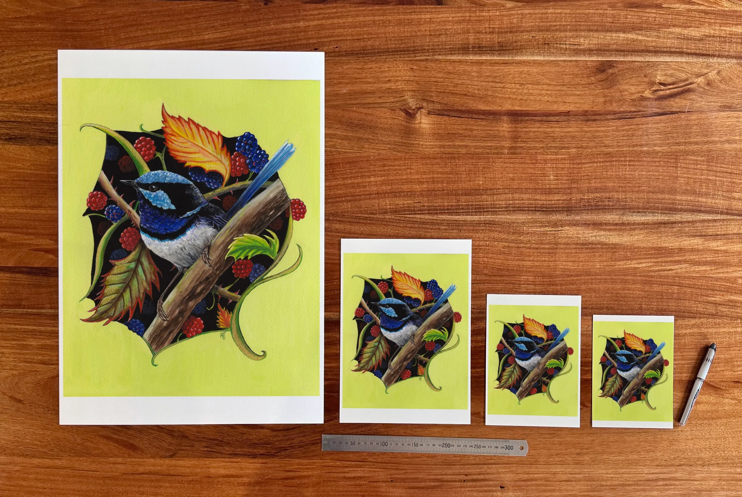 Wren and Blackberries at each available size: A2 (420 × 594 mm), A4, A5 and 5 × 7 in (127 × 178 mm), beside a 30 cm ruler. The 5 × 7 in print shows the whole painting, with white strips of about 10 mm top and bottom.