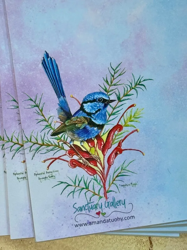 A pad of notepaper washed in blue and lilac, printed with a wren in bright blue plumage perched on red grevillea flowers and green leaves, with the Sanctuary Gallery name and web address beneath.