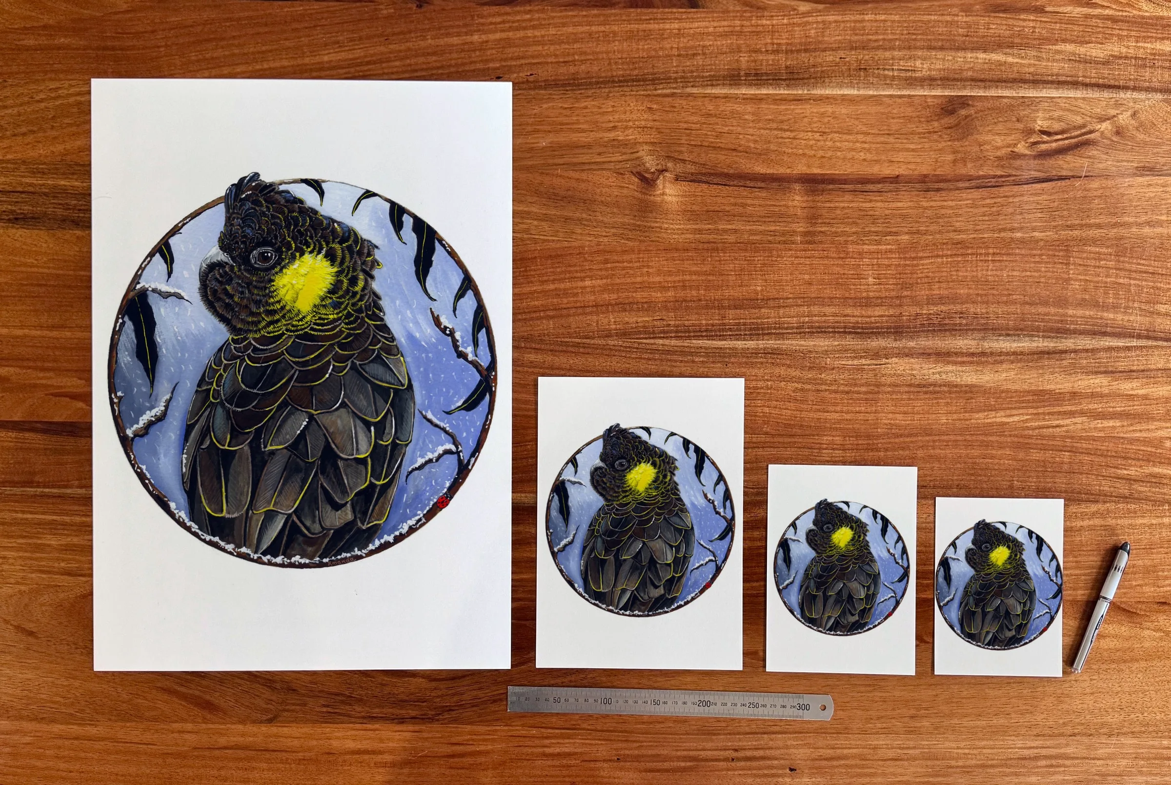 Yellow-tailed Black Cockatoo at each available size: A2 (420 × 594 mm), A4, A5 and 5 × 7 in (127 × 178 mm), beside a 30 cm ruler.