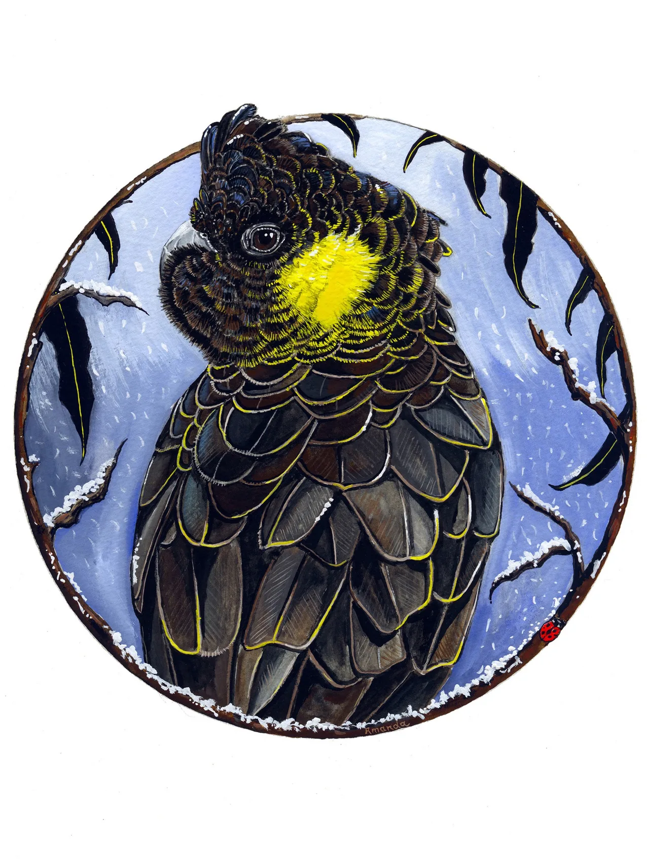 A yellow-tailed black cockatoo with a yellow cheek patch and dark, yellow-edged feathers looks over its shoulder, framed by a circle of pale blue sky with falling snow, gum leaves and a small ladybird.