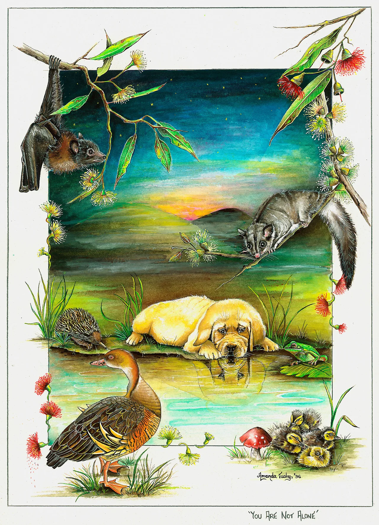 A pale golden labrador puppy lies at the edge of a pond at dusk gazing at its reflection, with a flying fox, a possum, an echidna, a frog, a brown duck and ducklings around it, framed by gum blossoms on white paper.