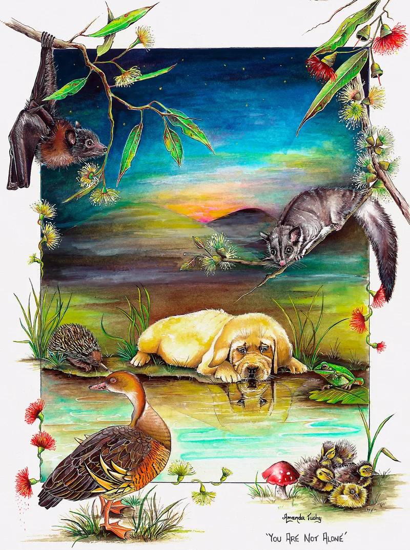 A pale golden labrador puppy lies at the edge of a pond at dusk gazing at its reflection, with a flying fox, a possum, an echidna, a frog, a brown duck and ducklings around it, framed by gum blossoms on white paper.